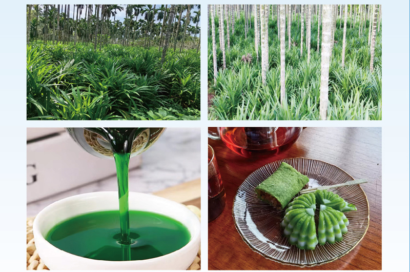 海南斑斕濃漿加工解決方案