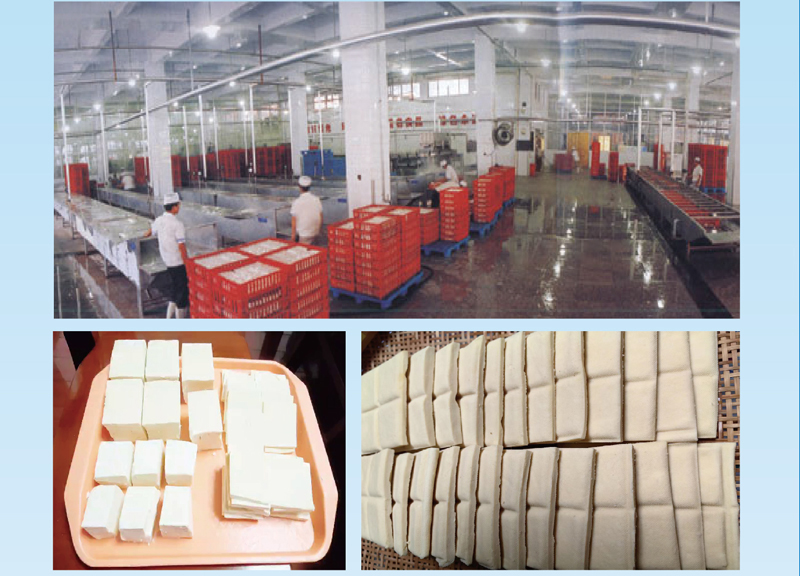 全豆豆制品加工解決方案